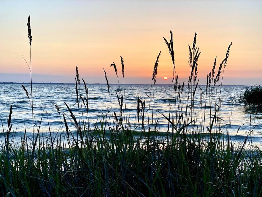Haffside Usedom Villa Zirchow Buitenkant foto